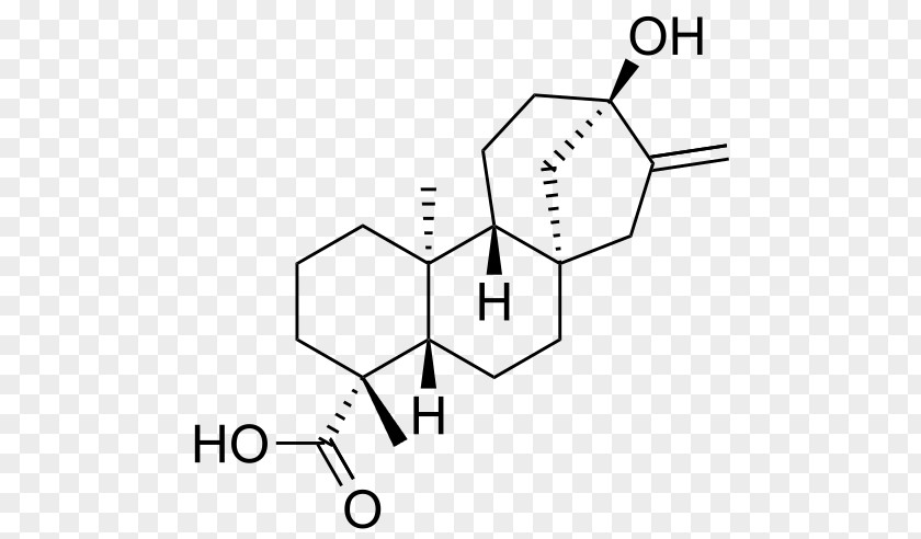 Sweet Leaf Stevia Steviol Glycoside PNG