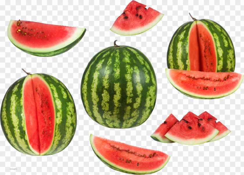 Watermelon Auglis Stock Photography PNG