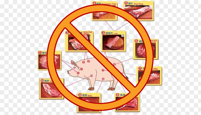 Meat Pork Domestic Pig Eating Food PNG