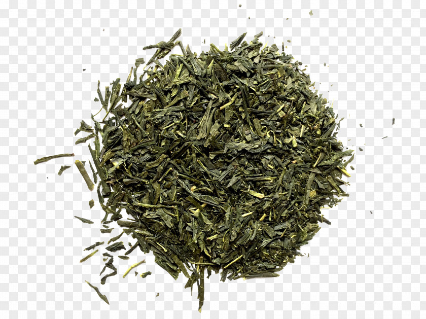 Tea Gyokuro Nilgiri Oolong Earl Grey PNG