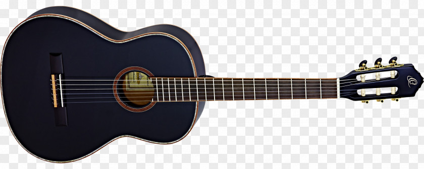 Amancio Ortega Steel-string Acoustic Guitar Acoustic-electric Classical Takamine Guitars PNG