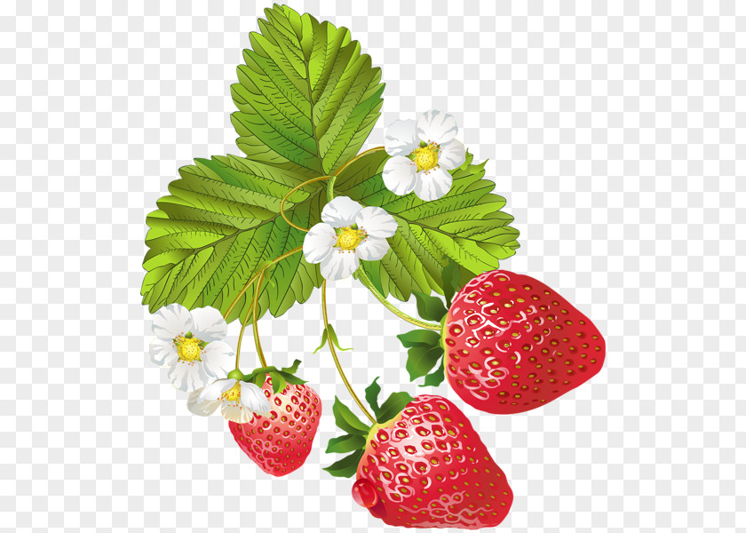 Blooming Strawberry Ice Cream Fruit Clip Art PNG