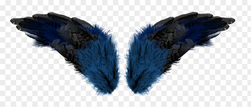 Blue Wings Feather Wing Aile PNG
