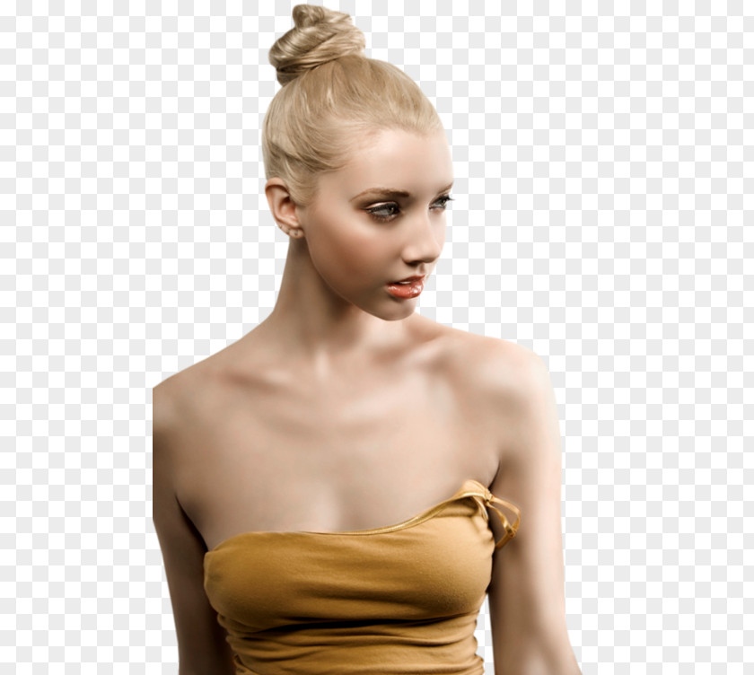 Bun Blond Hair Coloring Chignon PNG