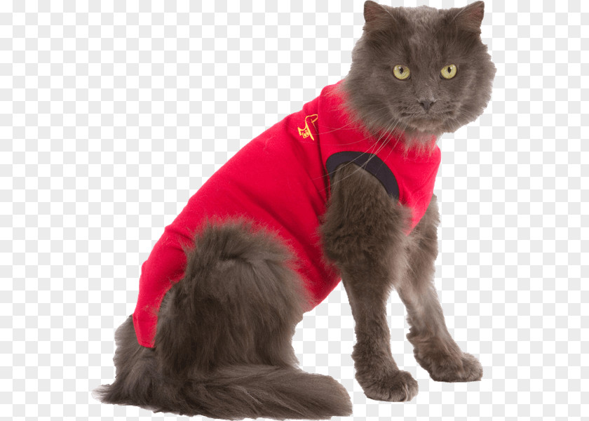 Dry Cat Dog Kitten T-shirt Pet PNG