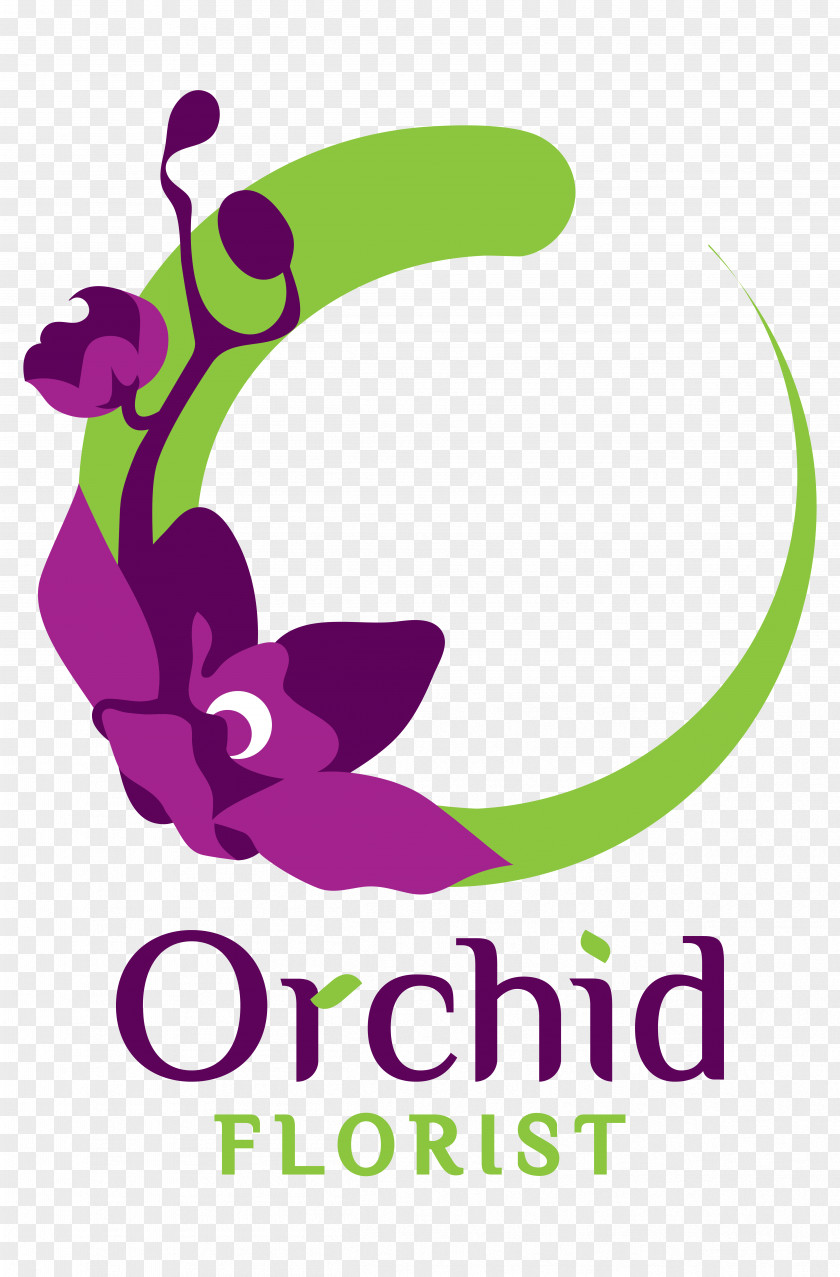 Flower Moth Orchids Dancing-lady Orchid Floristry Store PNG