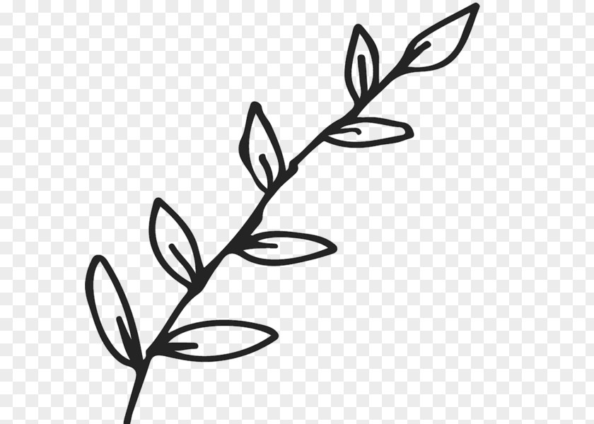 Leaf Twig Branch Clip Art Plant Stem PNG