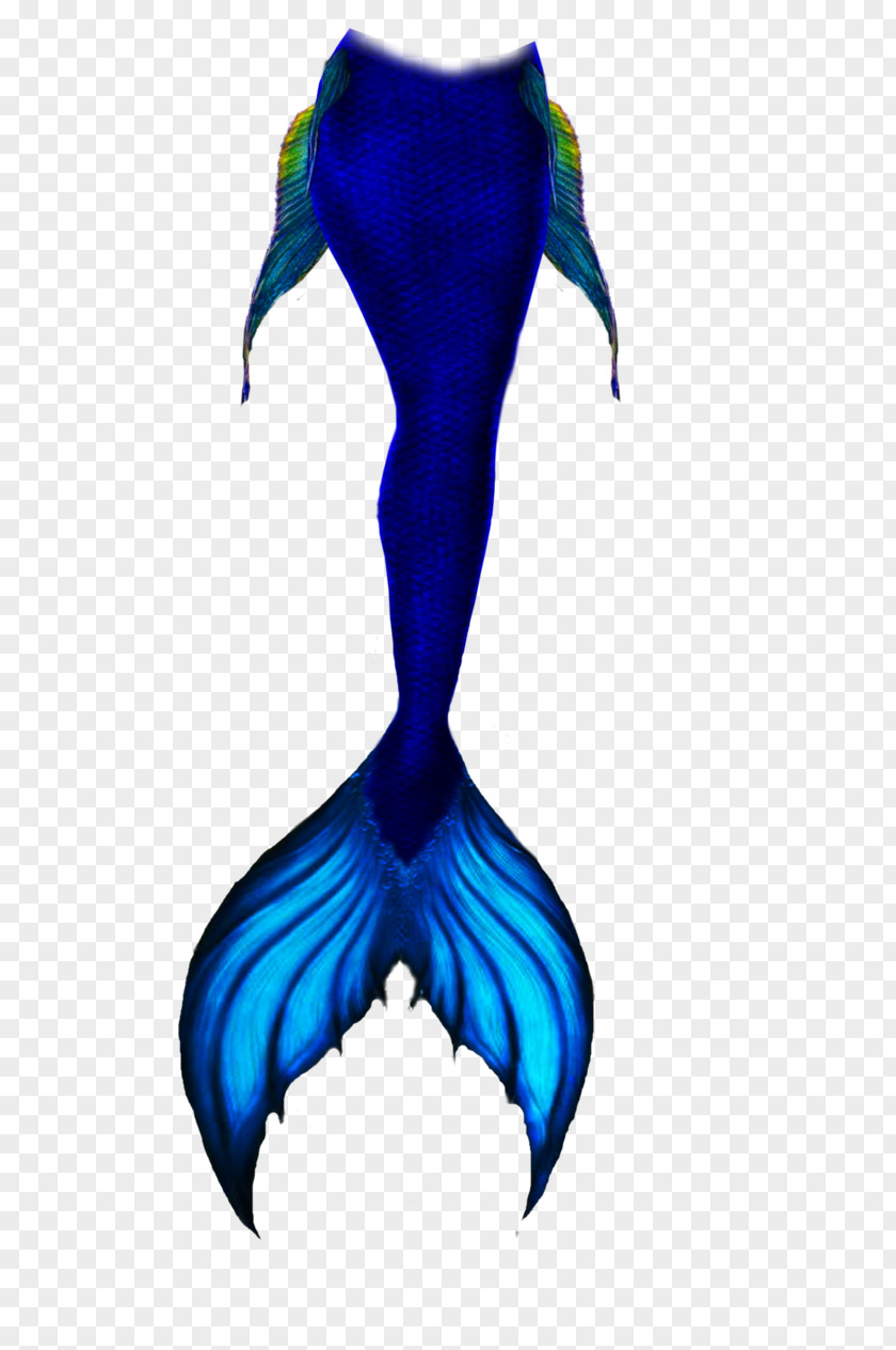 Mermaid Tail Drawing Sketch PNG