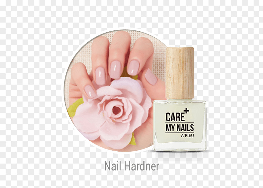 Nail Care Polish Lip Balm Cosmetics Skin PNG