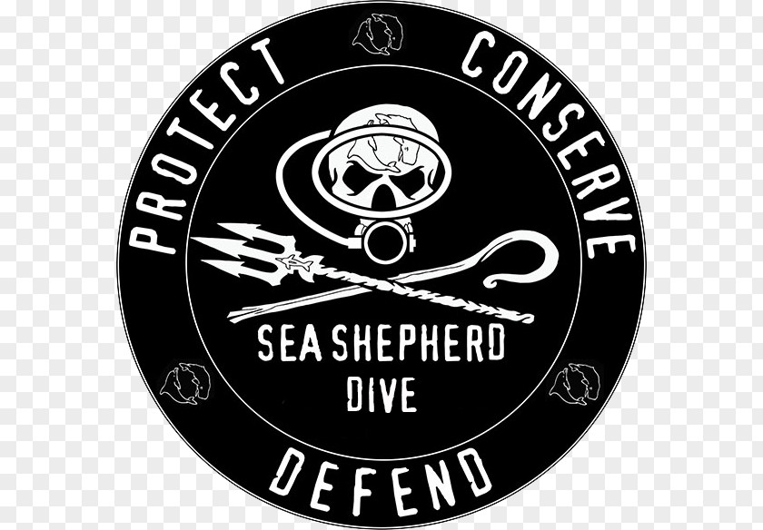 Network Operations Center Sea Shepherd Conservation Society Marine MY Steve Irwin PNG