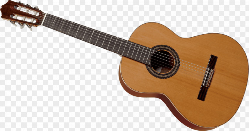 Acoustic Guitar Bass Tiple Acoustic-electric Cuatro PNG