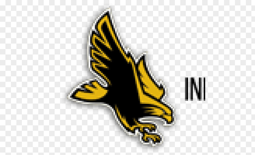 Eagle University Of Southern Mississippi Miss Golden Eagles Football Lady Women's Basketball PNG