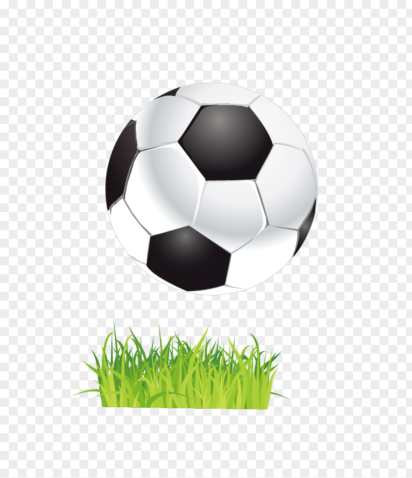 Football Euclidean Vector PNG