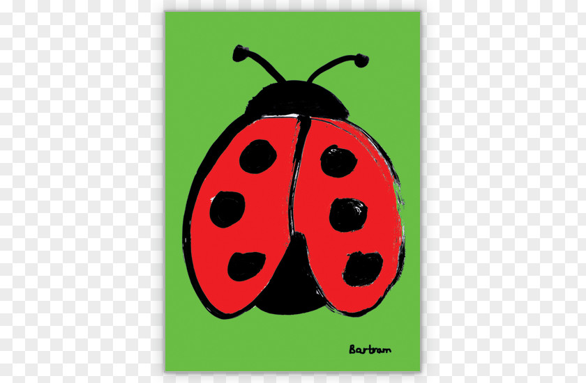 Fruit Lady Bird PNG