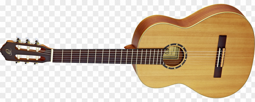 Amancio Ortega Steel-string Acoustic Guitar Classical Musical Instruments PNG