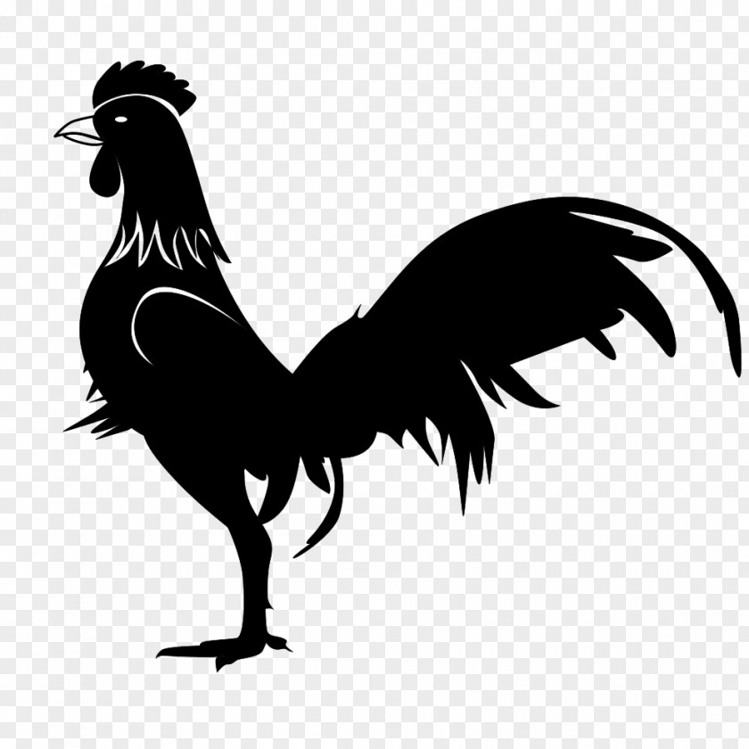 Chicken Gallic Rooster Gamecock PNG