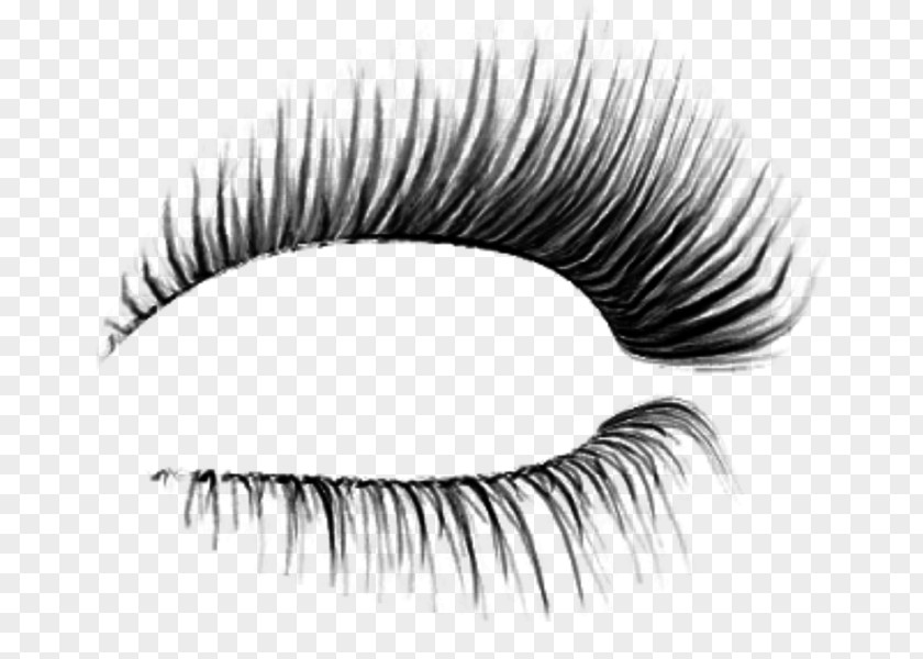 Iris Eye Shadow Eyelash Extensions Transparency Cosmetics Eyebrow PNG