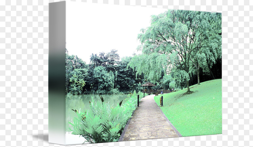 Botanical Garden Ecosystem Lawn PNG