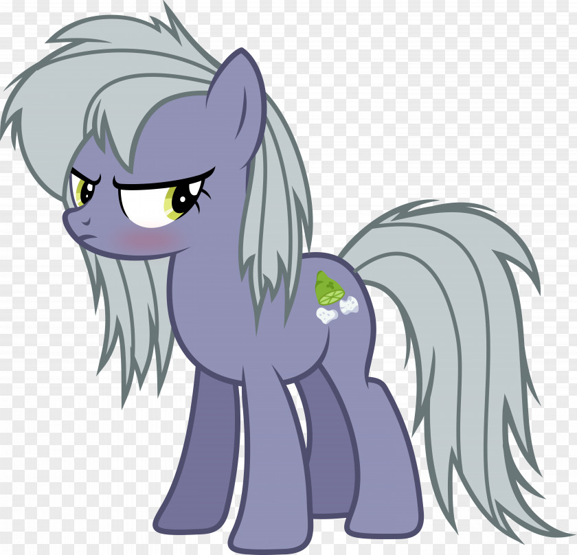 My Little Pony Twilight Sparkle Pinkie Pie Rainbow Dash Applejack PNG