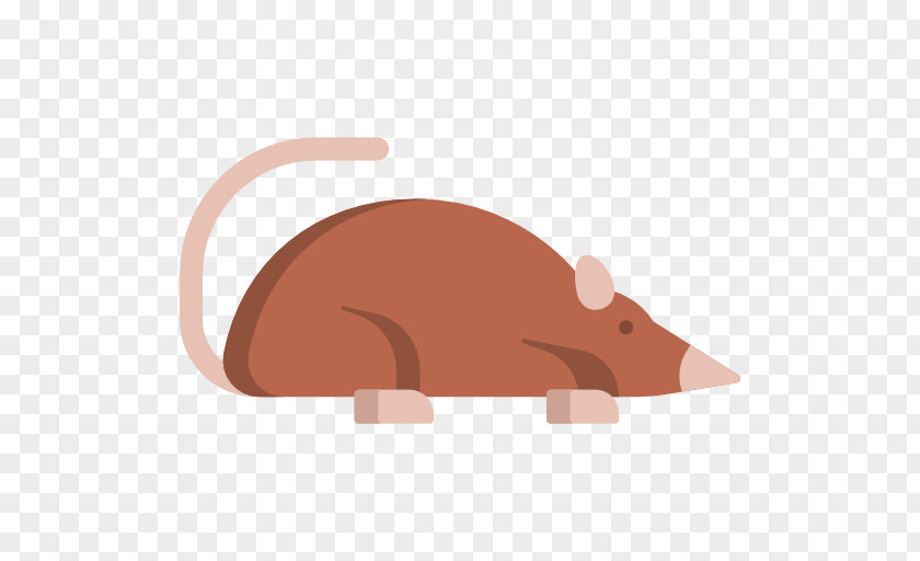 Rat PNG
