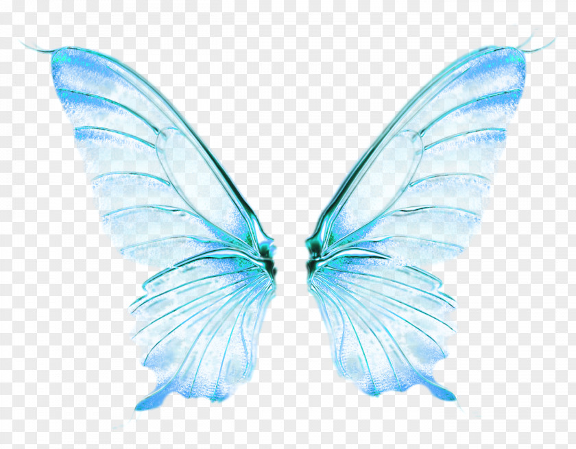 Wings Butterfly Wing Desktop Wallpaper PNG