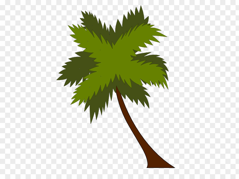 Coconut Tree Leaves Arecaceae Clip Art PNG