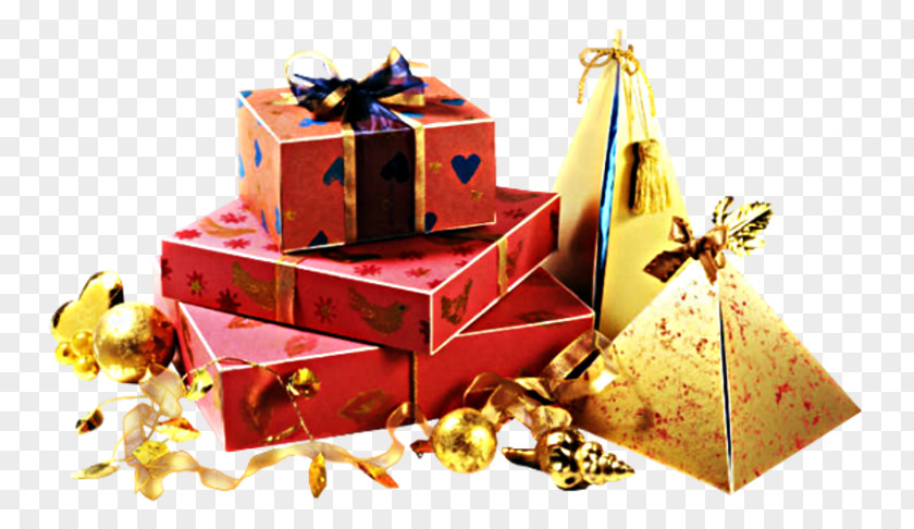 Gift Christmas Holiday Surprise PNG