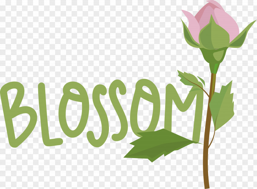 Leaf Plant Stem Logo Font Flower PNG