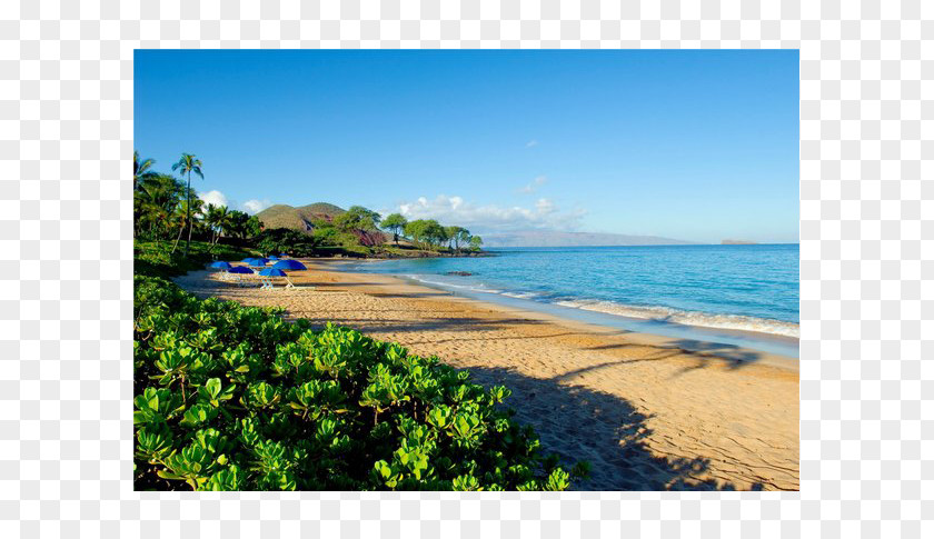 A Trip To Hawaii Caribbean Sea Water Resources Beach Coast PNG