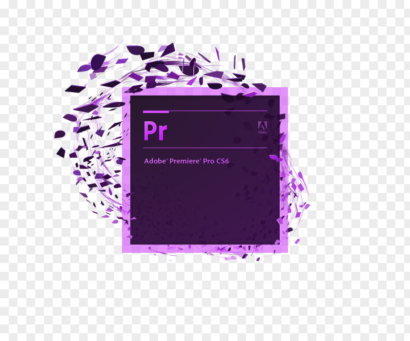 Adobe Premiere Pro Adobe® Premiere® CS5 Dynamic Link Computer Software Systems PNG