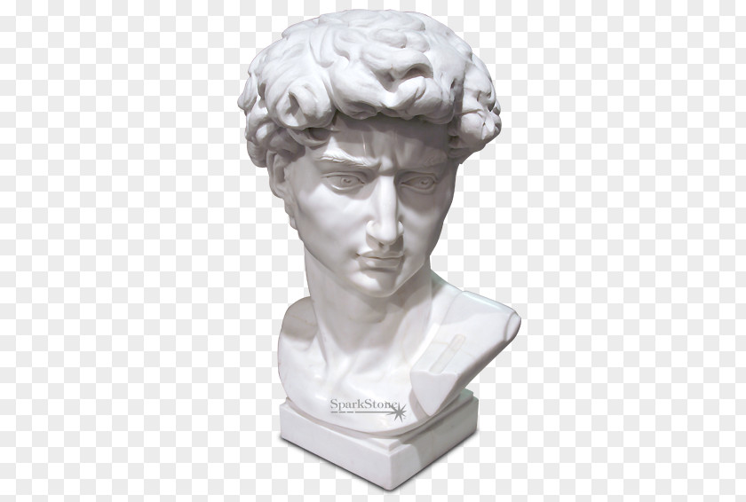 Apollon Business Michelangelo David Sculpture Statue Bust PNG