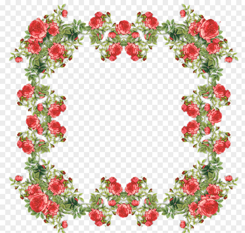 Flower Picture Frames Rose Floral Design Clip Art PNG