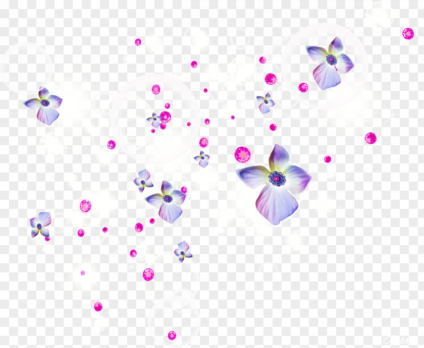 Holi Flower Desktop Wallpaper PNG