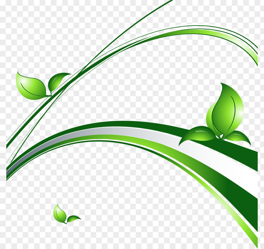 Leaf Clip Art Herbaceous Plant Vector Graphics PNG