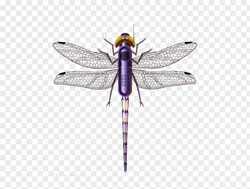 Not The Same Material Picture Dragonfly Insect Purple PNG