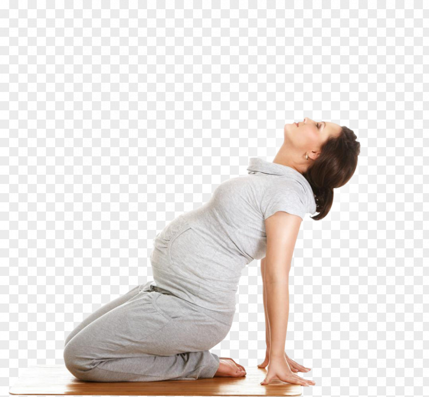 Pregnancy Childbirth Yoga Midwifery PNG