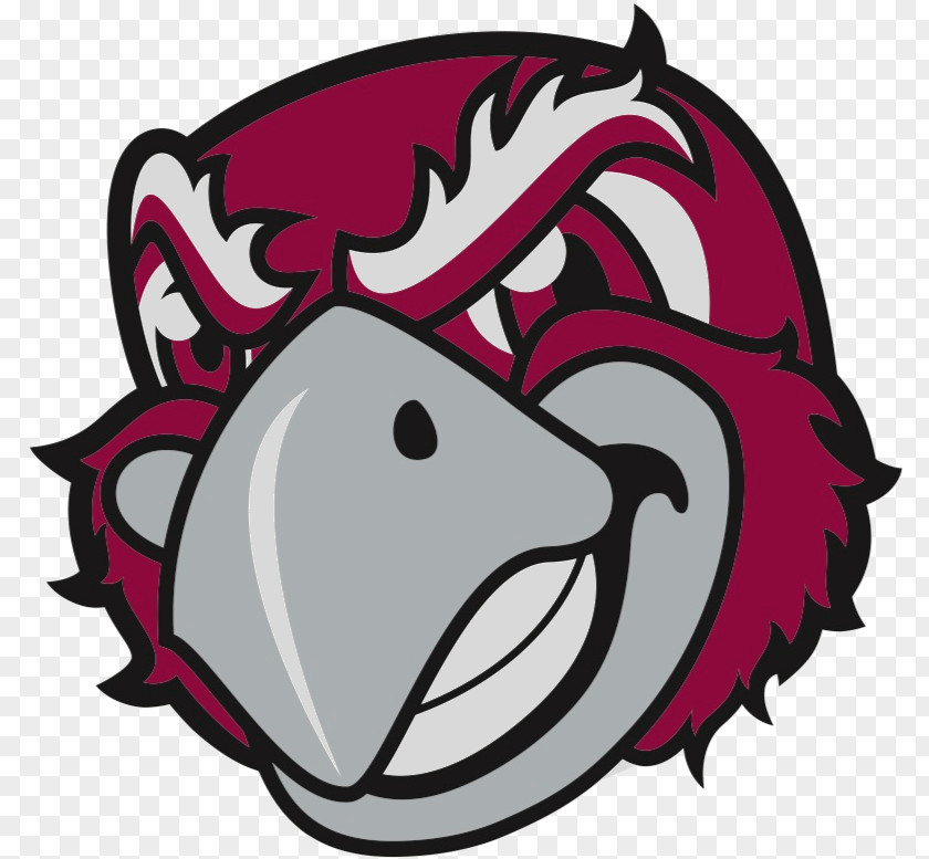 School Roanoke College Maroons Men's Basketball PNG