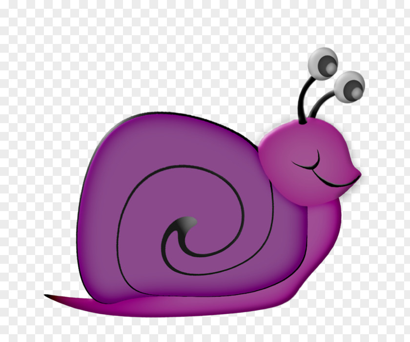 Snail Drawing Polymita Picta Clip Art PNG