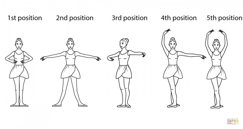 Ballet Steps Cliparts Positions Of The Feet In Dancer PNG