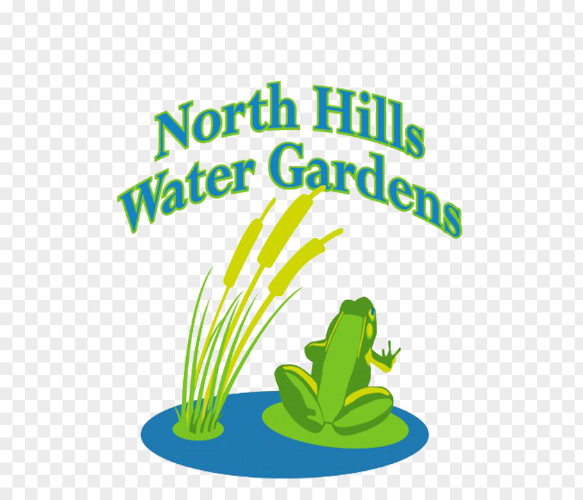 Best Feeds Garden Centers LLC North Hills Water Gardens Tree Frog Pittsburgh PNG
