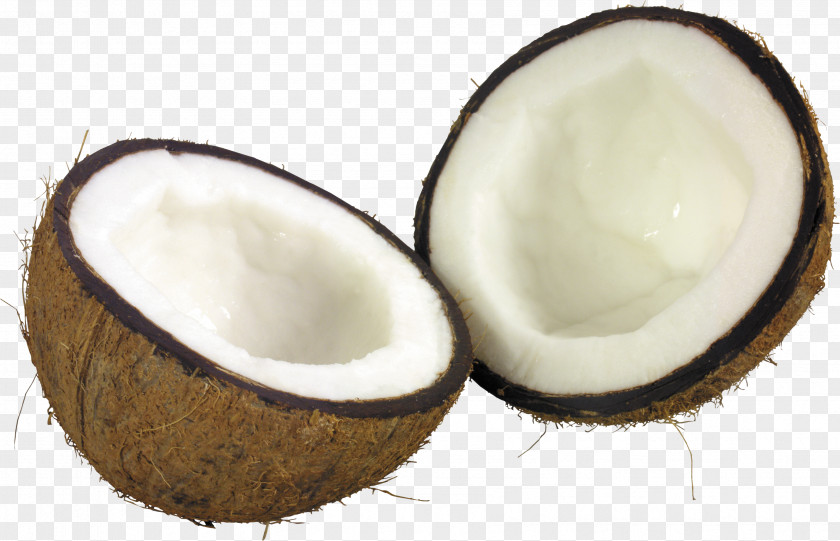 Coconut Image Milk Bar Oil PNG