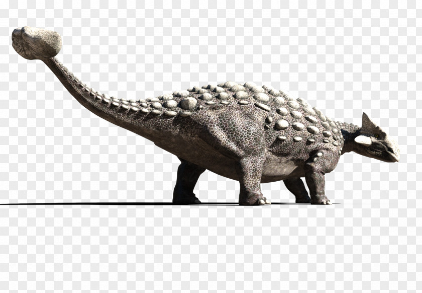 Dinosaur Tyrannosaurus Ankylosaurus DeviantArt Animal PNG