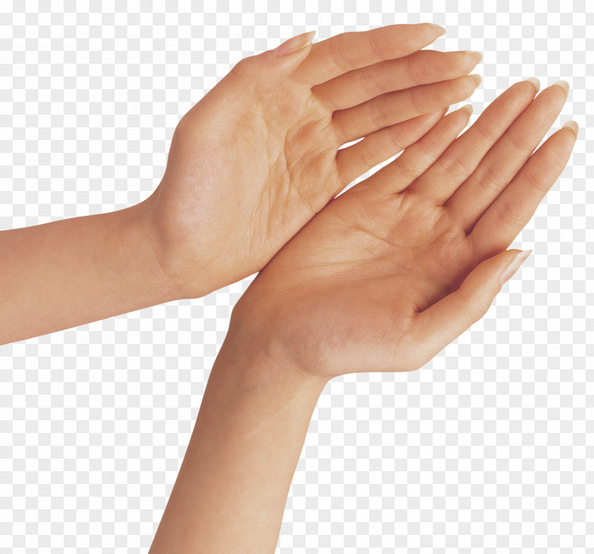 Fingers Hand Clip Art PNG