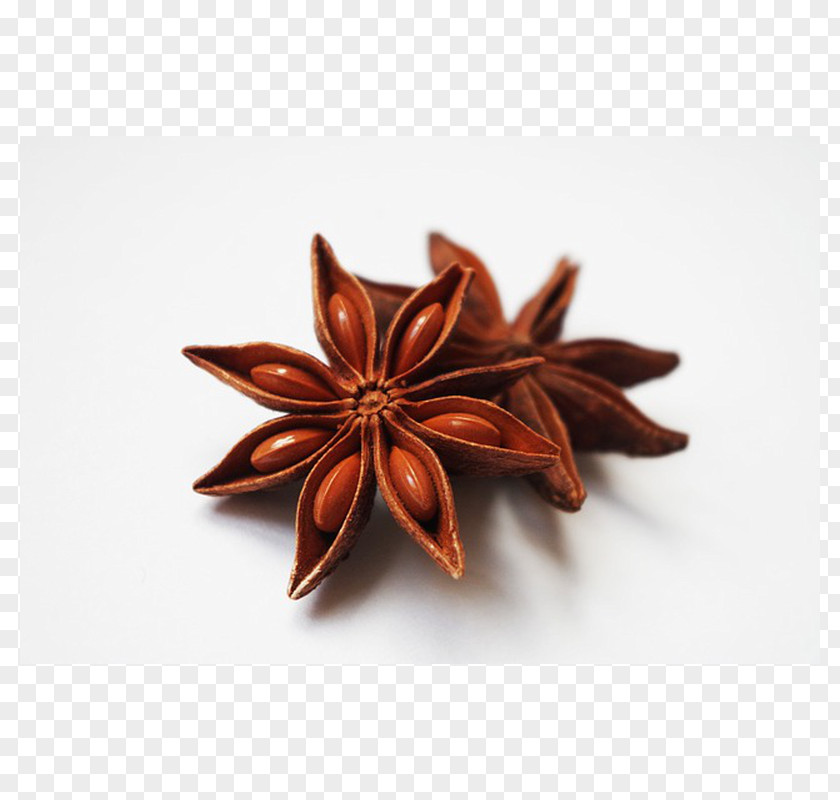 Masala Chai Star Anise Spice Absinthe PNG