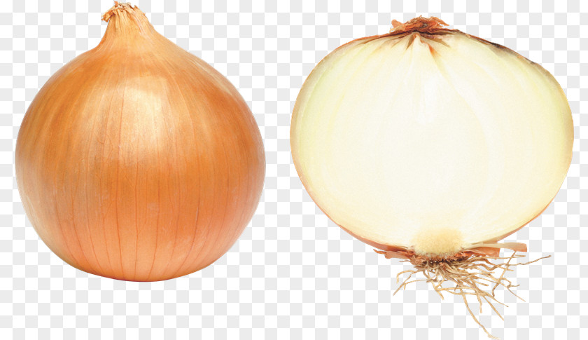 Onion White Red Vegetable PNG