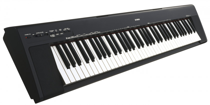 Piano Nord Electro Stage Keyboard Clavia PNG