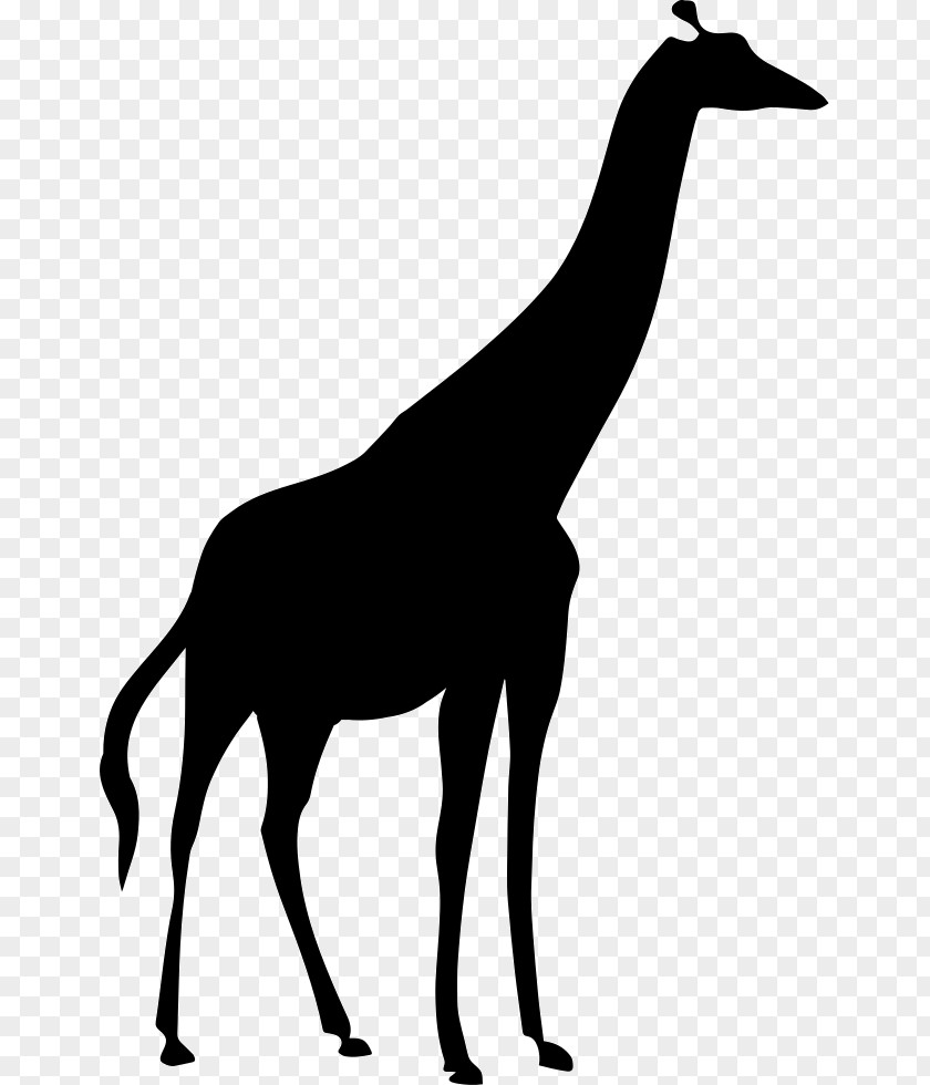Silhouette Northern Giraffe Image Vector Graphics PNG