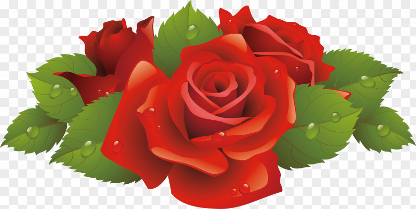 Vector Rose Flower Clip Art PNG