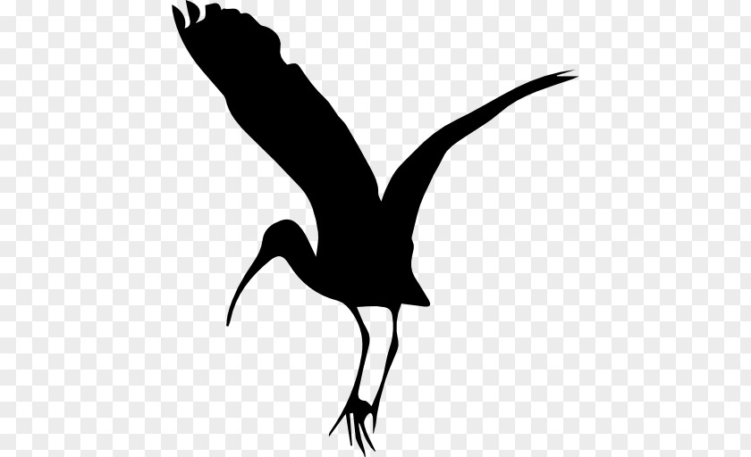 Bird Stork PNG