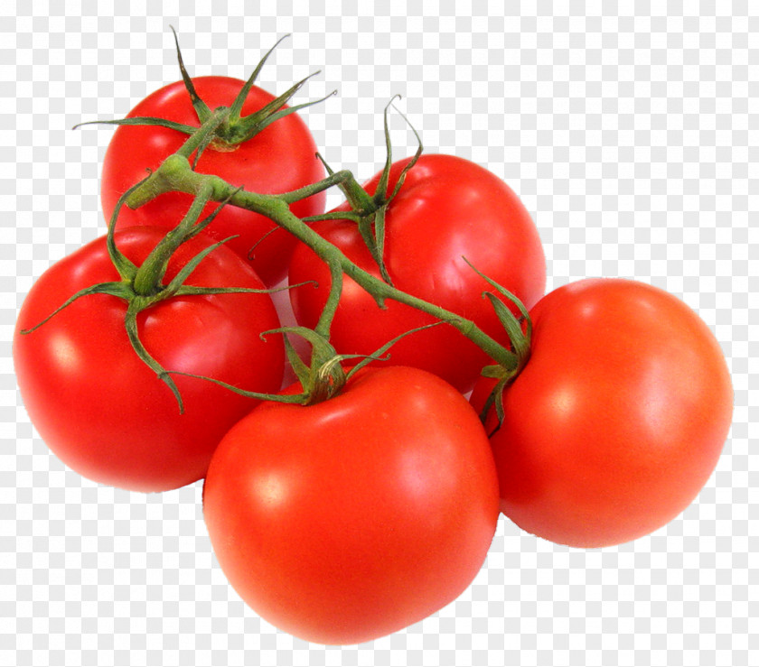 Juice Tomato Vegetable Food Can PNG